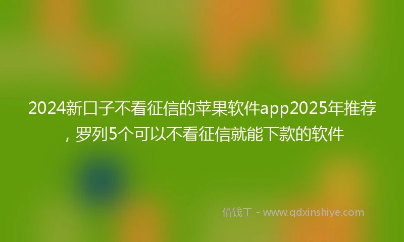 2024新口子不看征信的苹果软件app2025年推荐，罗列5个可以不看征信就能下款的软件