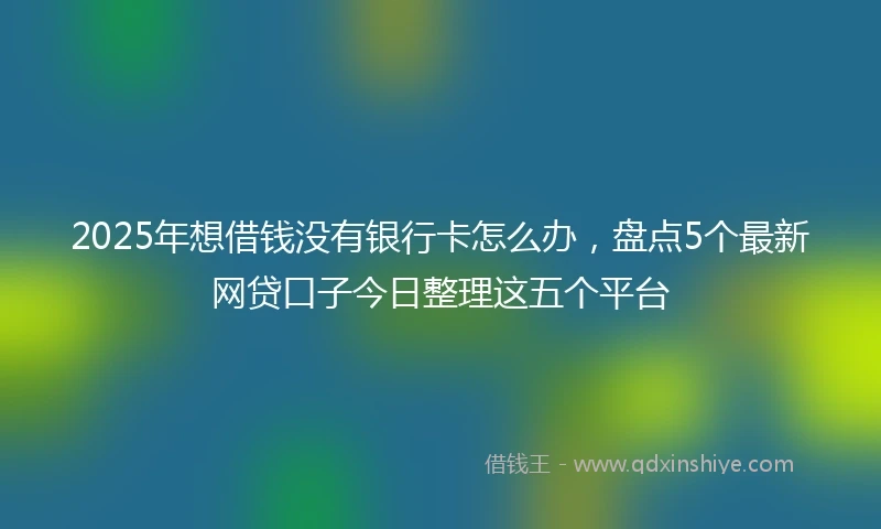 2025年想借钱没有银行卡怎么办，盘点5个最新网贷口子今日整理这五个平台