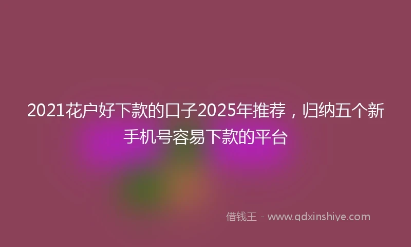 2021花户好下款的口子2025年推荐，归纳五个新手机号容易下款的平台