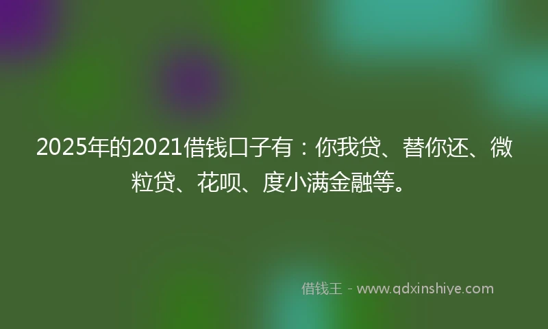 2025年的2021借钱口子有：你我贷、替你还、微粒贷、花呗、度小满金融等。