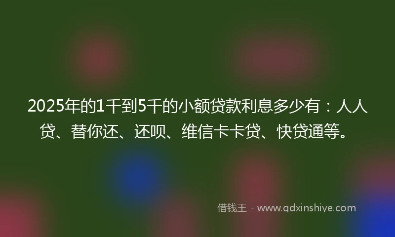 2025年的1千到5千的小额贷款利息多少有：人人贷、替你还、还呗、维信卡卡贷、快贷通等。