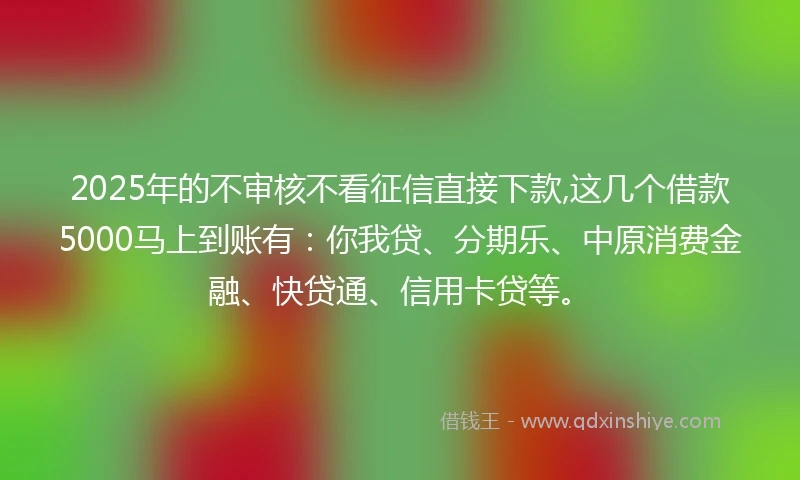 2025年的不审核不看征信直接下款,这几个借款5000马上到账有：你我贷、分期乐、中原消费金融、快贷通、信用卡贷等。