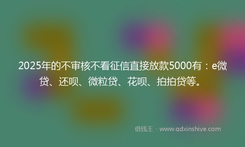 2025年的不审核不看征信直接放款5000有：e微贷、还呗、微粒贷、花呗、拍拍贷等。