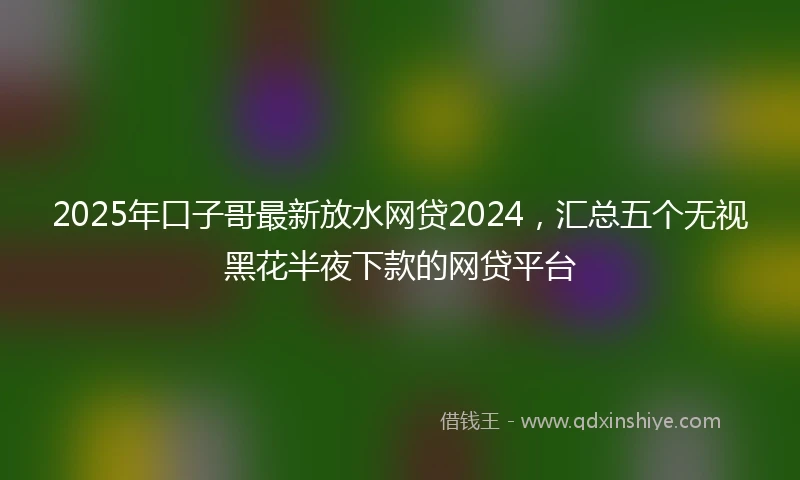 2025年口子哥最新放水网贷2024，汇总五个无视黑花半夜下款的网贷平台