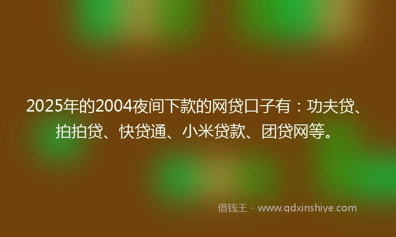 2025年的2004夜间下款的网贷口子有：功夫贷、拍拍贷、快贷通、小米贷款、团贷网等。