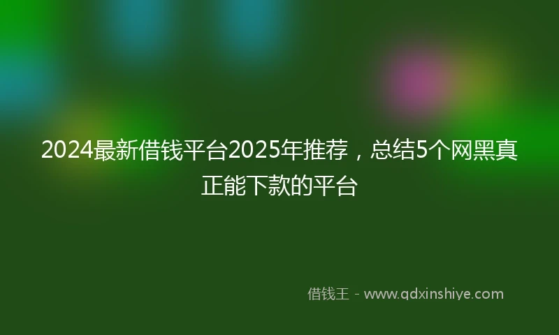 2024最新借钱平台2025年推荐，总结5个网黑真正能下款的平台