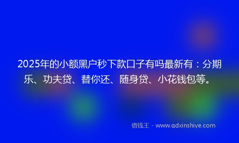2025年的小额黑户秒下款口子有吗最新有：分期乐、功夫贷、替你还、随身贷、小花钱包等。