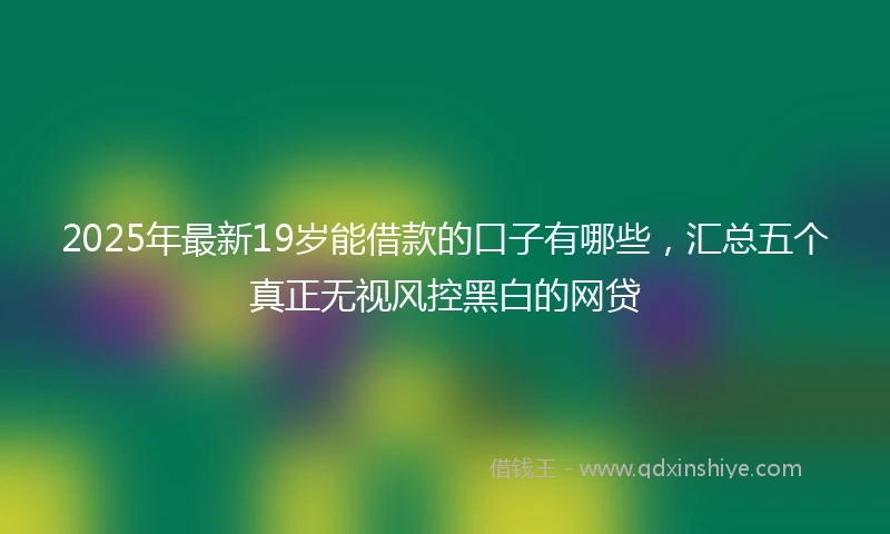 2025年最新19岁能借款的口子有哪些，汇总五个真正无视风控黑白的网贷
