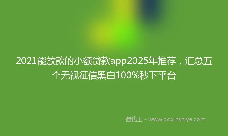 2021能放款的小额贷款app2025年推荐，汇总五个无视征信黑白100%秒下平台