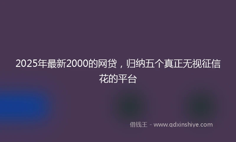 2025年最新2000的网贷，归纳五个真正无视征信花的平台