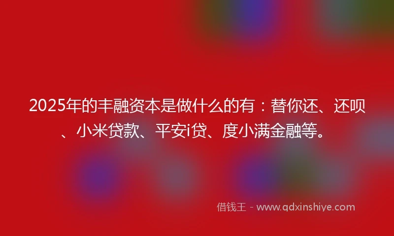 2025年的丰融资本是做什么的有：替你还、还呗、小米贷款、平安i贷、度小满金融等。