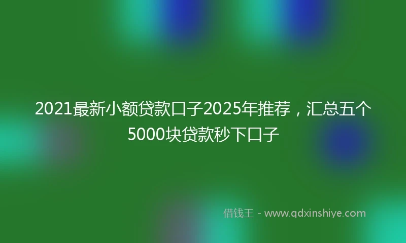 2021最新小额贷款口子2025年推荐，汇总五个5000块贷款秒下口子