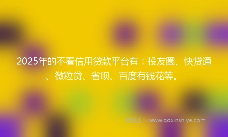 2025年的不看信用贷款平台有：投友圈、快贷通、微粒贷、省呗、百度有钱花等。
