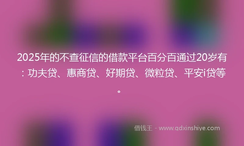 2025年的不查征信的借款平台百分百通过20岁有：功夫贷、惠商贷、好期贷、微粒贷、平安i贷等。