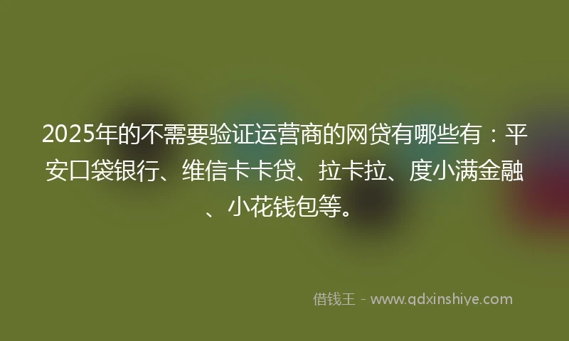2025年的不需要验证运营商的网贷有哪些有：平安口袋银行、维信卡卡贷、拉卡拉、度小满金融、小花钱包等。