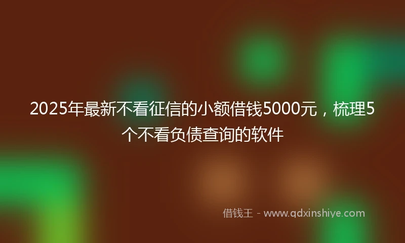 2025年最新不看征信的小额借钱5000元，梳理5个不看负债查询的软件