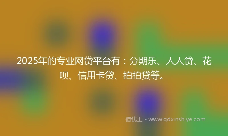 2025年的专业网贷平台有：分期乐、人人贷、花呗、信用卡贷、拍拍贷等。
