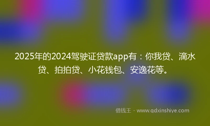 2025年的2024驾驶证贷款app有：你我贷、滴水贷、拍拍贷、小花钱包、安逸花等。
