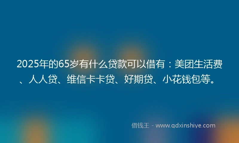 2025年的65岁有什么贷款可以借有：美团生活费、人人贷、维信卡卡贷、好期贷、小花钱包等。