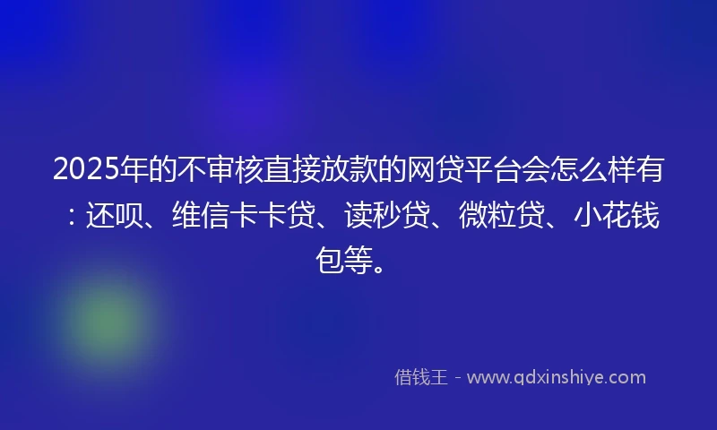 2025年的不审核直接放款的网贷平台会怎么样有：还呗、维信卡卡贷、读秒贷、微粒贷、小花钱包等。