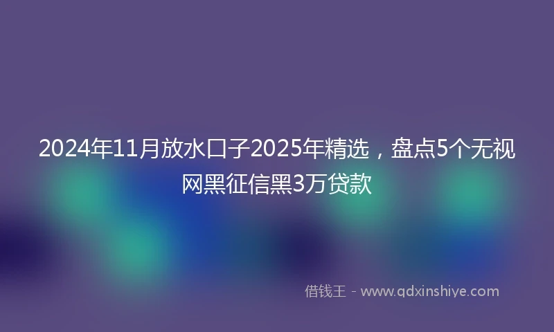 2024年11月放水口子2025年精选，盘点5个无视网黑征信黑3万贷款
