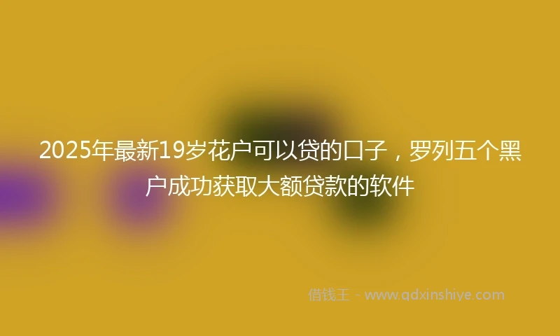 2025年最新19岁花户可以贷的口子，罗列五个黑户成功获取大额贷款的软件