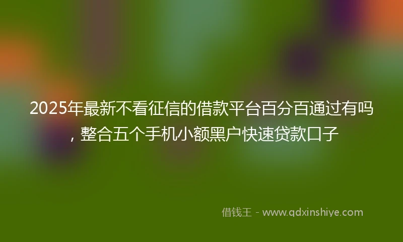 2025年最新不看征信的借款平台百分百通过有吗，整合五个手机小额黑户快速贷款口子