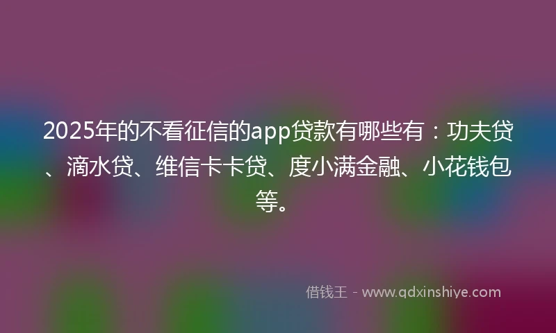 2025年的不看征信的app贷款有哪些有：功夫贷、滴水贷、维信卡卡贷、度小满金融、小花钱包等。