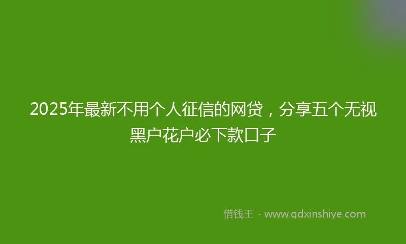 2025年最新不用个人征信的网贷，分享五个无视黑户花户必下款口子