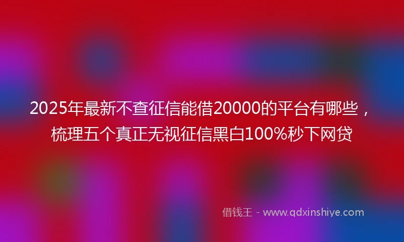 2025年最新不查征信能借20000的平台有哪些，梳理五个真正无视征信黑白100%秒下网贷