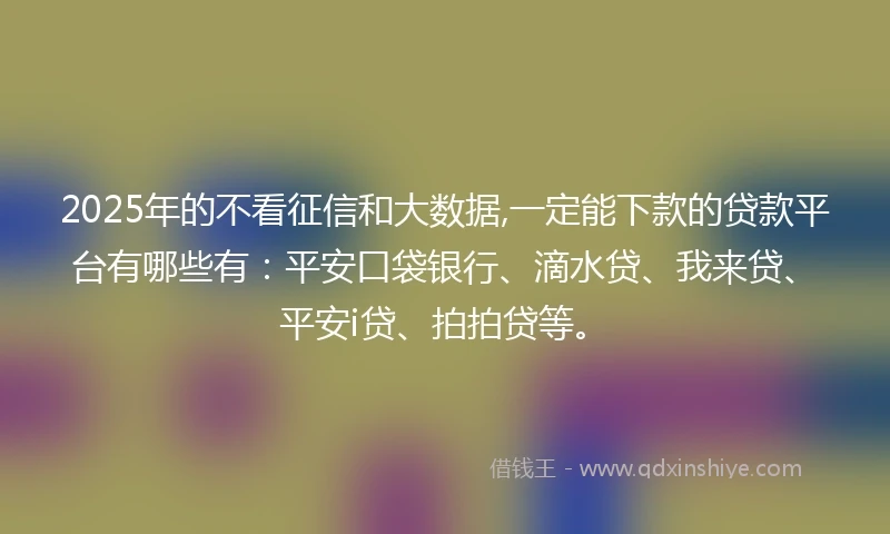 2025年的不看征信和大数据,一定能下款的贷款平台有哪些有：平安口袋银行、滴水贷、我来贷、平安i贷、拍拍贷等。