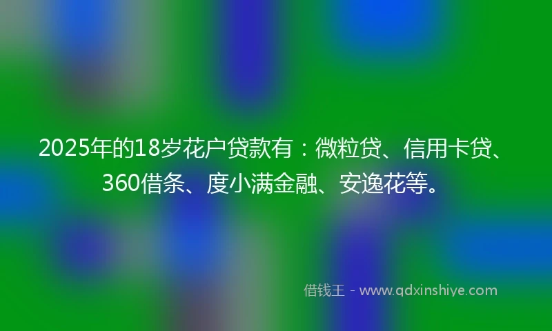 2025年的18岁花户贷款有：微粒贷、信用卡贷、360借条、度小满金融、安逸花等。