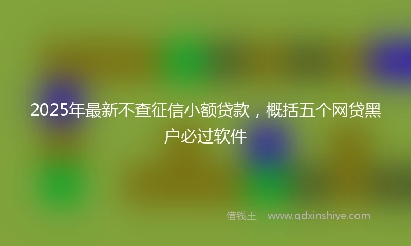2025年最新不查征信小额贷款，概括五个网贷黑户必过软件
