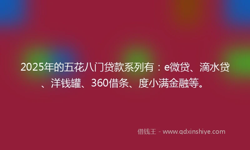 2025年的五花八门贷款系列有：e微贷、滴水贷、洋钱罐、360借条、度小满金融等。