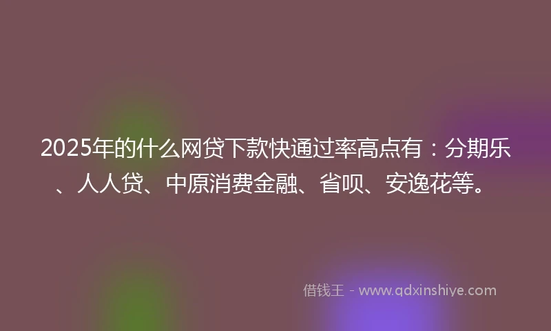 2025年的什么网贷下款快通过率高点有：分期乐、人人贷、中原消费金融、省呗、安逸花等。