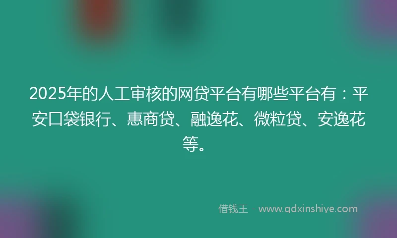 2025年的人工审核的网贷平台有哪些平台有：平安口袋银行、惠商贷、融逸花、微粒贷、安逸花等。
