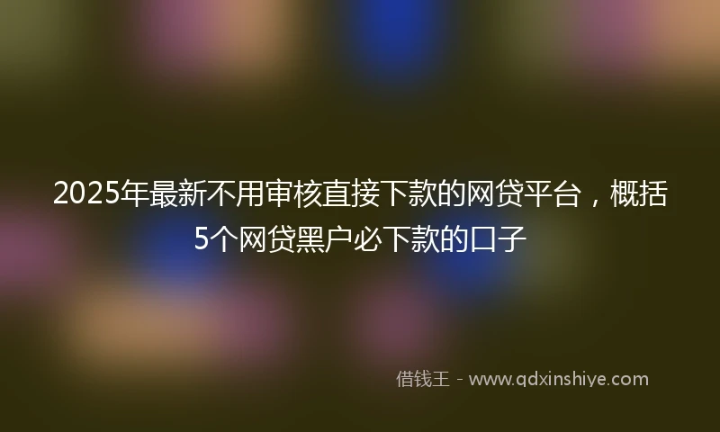 2025年最新不用审核直接下款的网贷平台，概括5个网贷黑户必下款的口子