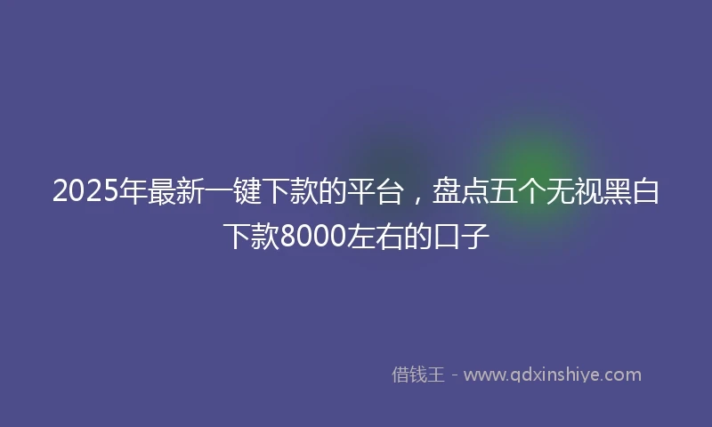 2025年最新一键下款的平台，盘点五个无视黑白下款8000左右的口子