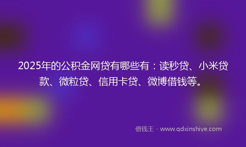 2025年的公积金网贷有哪些有：读秒贷、小米贷款、微粒贷、信用卡贷、微博借钱等。