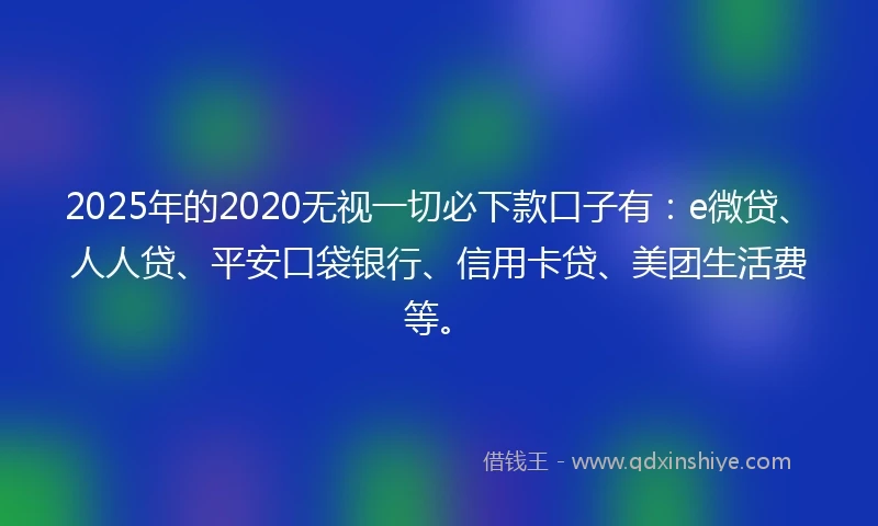 2025年的2020无视一切必下款口子有：e微贷、人人贷、平安口袋银行、信用卡贷、美团生活费等。
