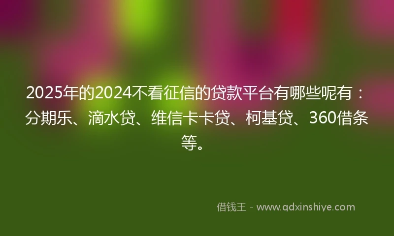 2025年的2024不看征信的贷款平台有哪些呢有：分期乐、滴水贷、维信卡卡贷、柯基贷、360借条等。