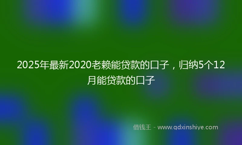2025年最新2020老赖能贷款的口子，归纳5个12月能贷款的口子