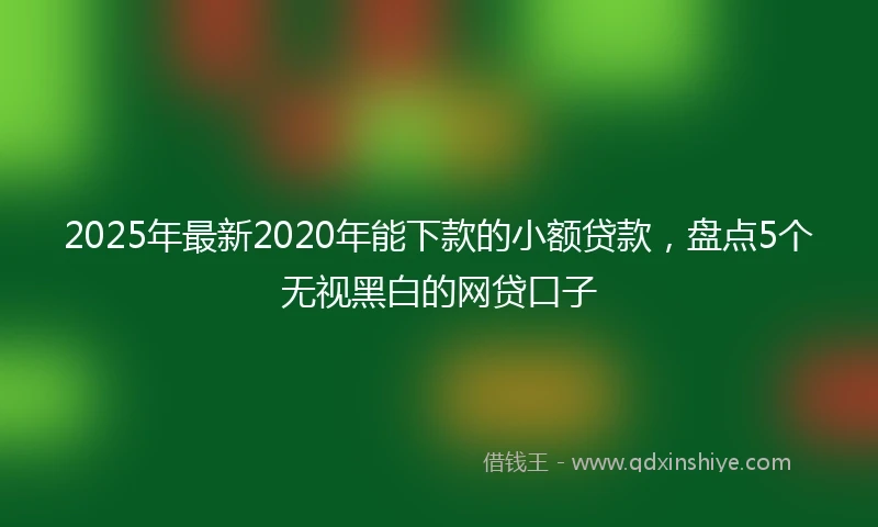 2025年最新2020年能下款的小额贷款，盘点5个无视黑白的网贷口子