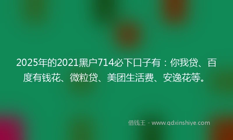 2025年的2021黑户714必下口子有：你我贷、百度有钱花、微粒贷、美团生活费、安逸花等。