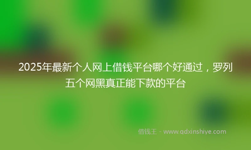 2025年最新个人网上借钱平台哪个好通过，罗列五个网黑真正能下款的平台