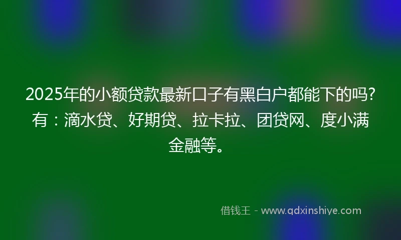 2025年的小额贷款最新口子有黑白户都能下的吗?有：滴水贷、好期贷、拉卡拉、团贷网、度小满金融等。