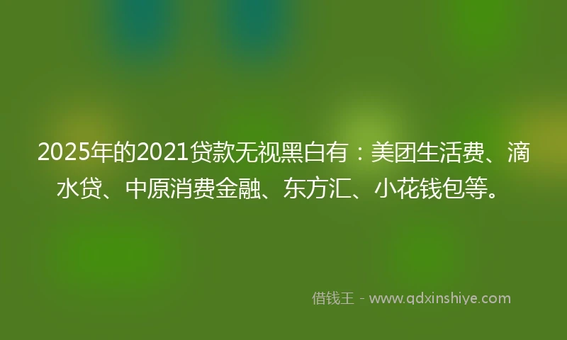 2025年的2021贷款无视黑白有：美团生活费、滴水贷、中原消费金融、东方汇、小花钱包等。