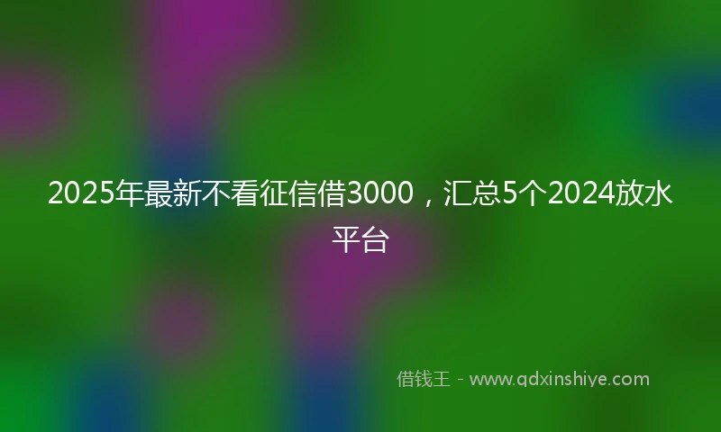 2025年最新不看征信借3000，汇总5个2024放水平台