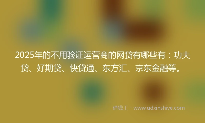 2025年的不用验证运营商的网贷有哪些有：功夫贷、好期贷、快贷通、东方汇、京东金融等。
