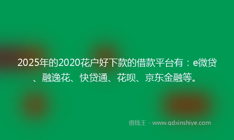 2025年的2020花户好下款的借款平台有：e微贷、融逸花、快贷通、花呗、京东金融等。